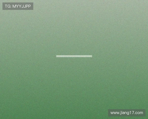 口袋妖怪魂银中文版全流程攻略与精灵收集终极体验深度技巧指南 口袋妖怪魂银中文版全流程攻略与精灵收集终极体验深度技巧指南